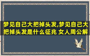 梦见自己大把掉头发,梦见自己大把掉头发是什么征兆 女人周公解梦